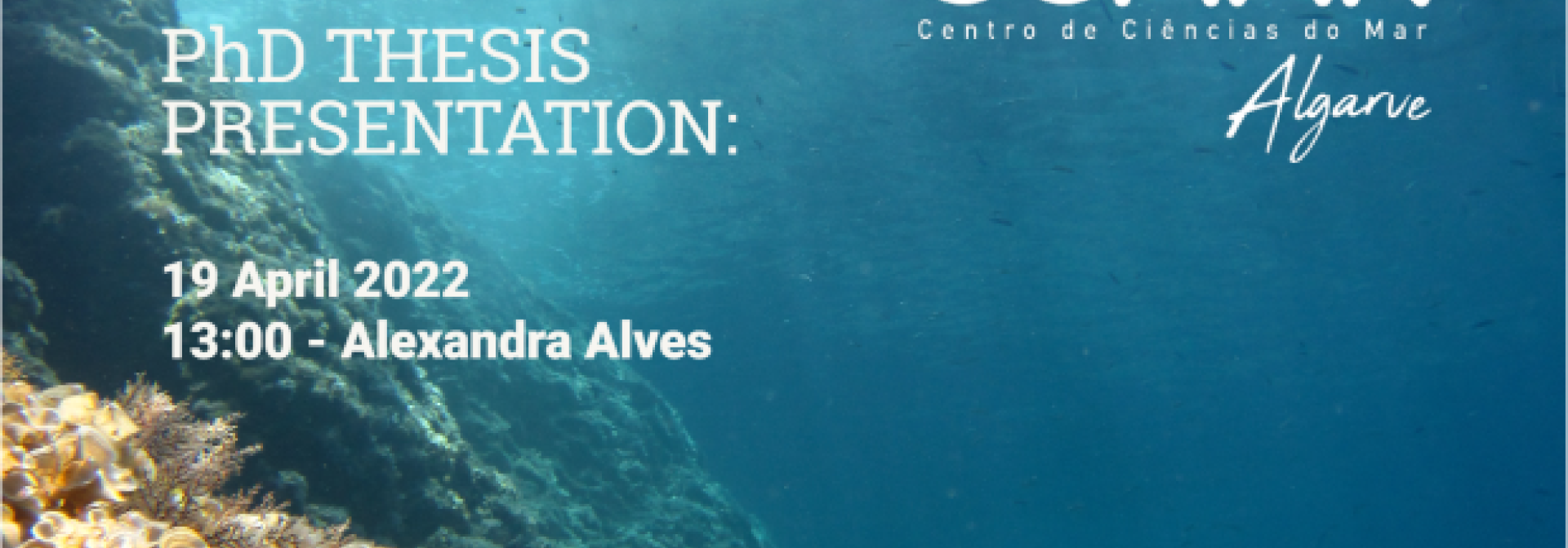 Generic representation of PhD Thesis Presentation