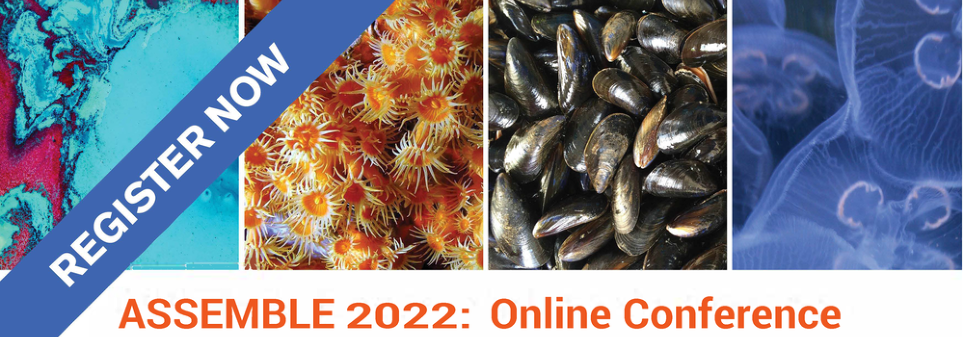 Generic representation of Assemble Plus Conference 2022