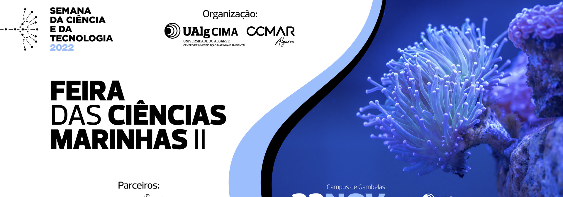 Generic representation of Feira das Ciências Marinhas II