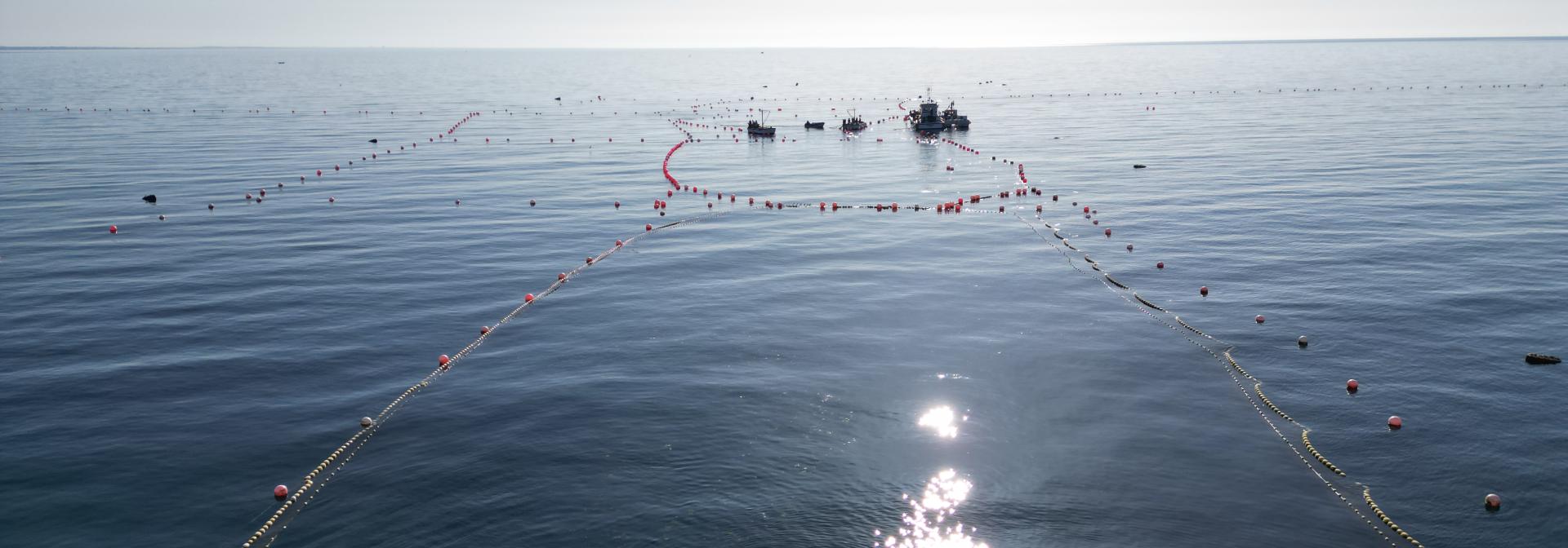 Aquaculture offshore cage