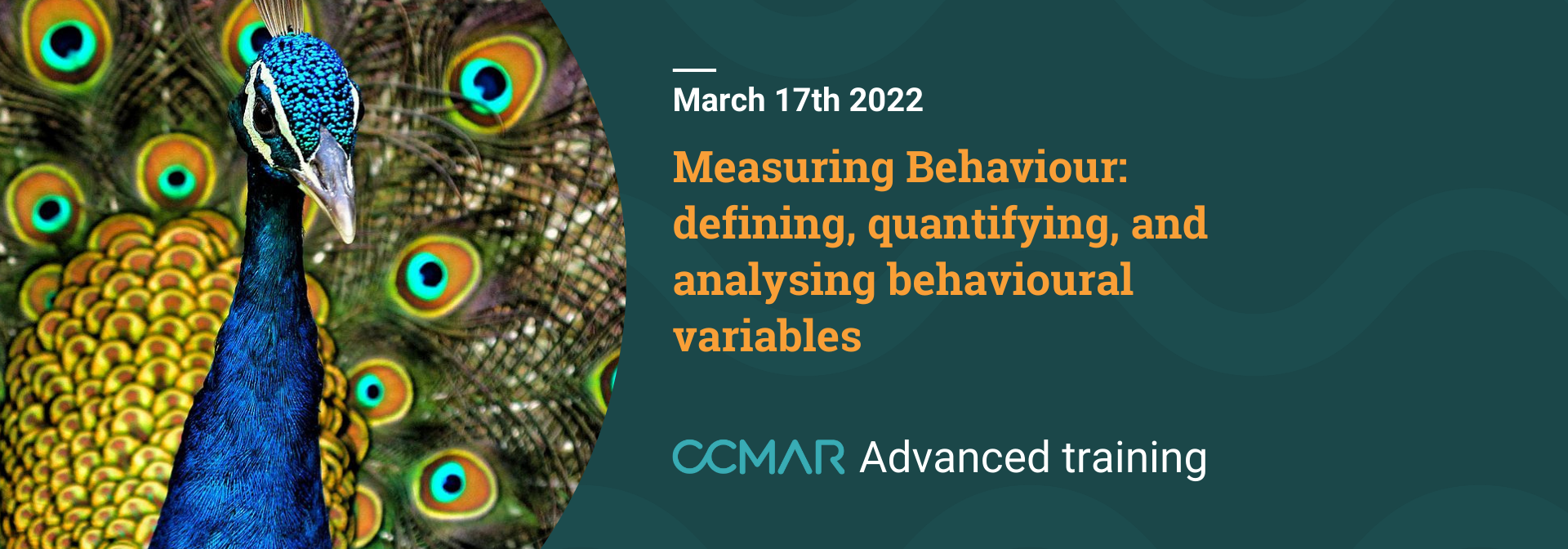 Measuring behaviour
