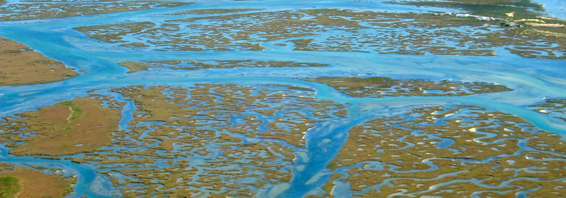 Ria Formosa lagoon