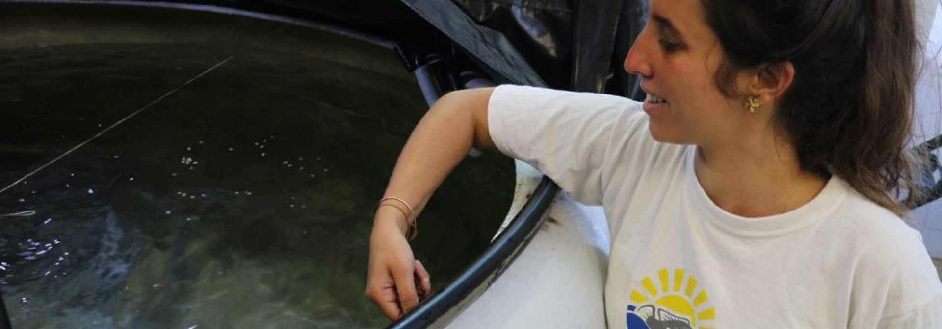 Feeding senegalese soles