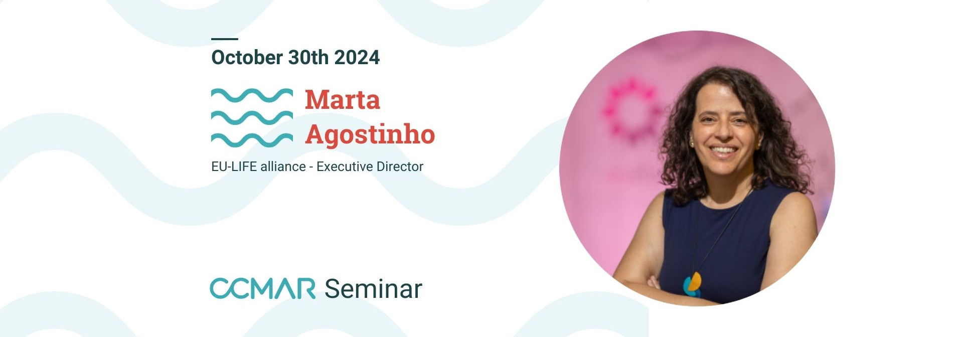 Seminar de Marta Agostinho