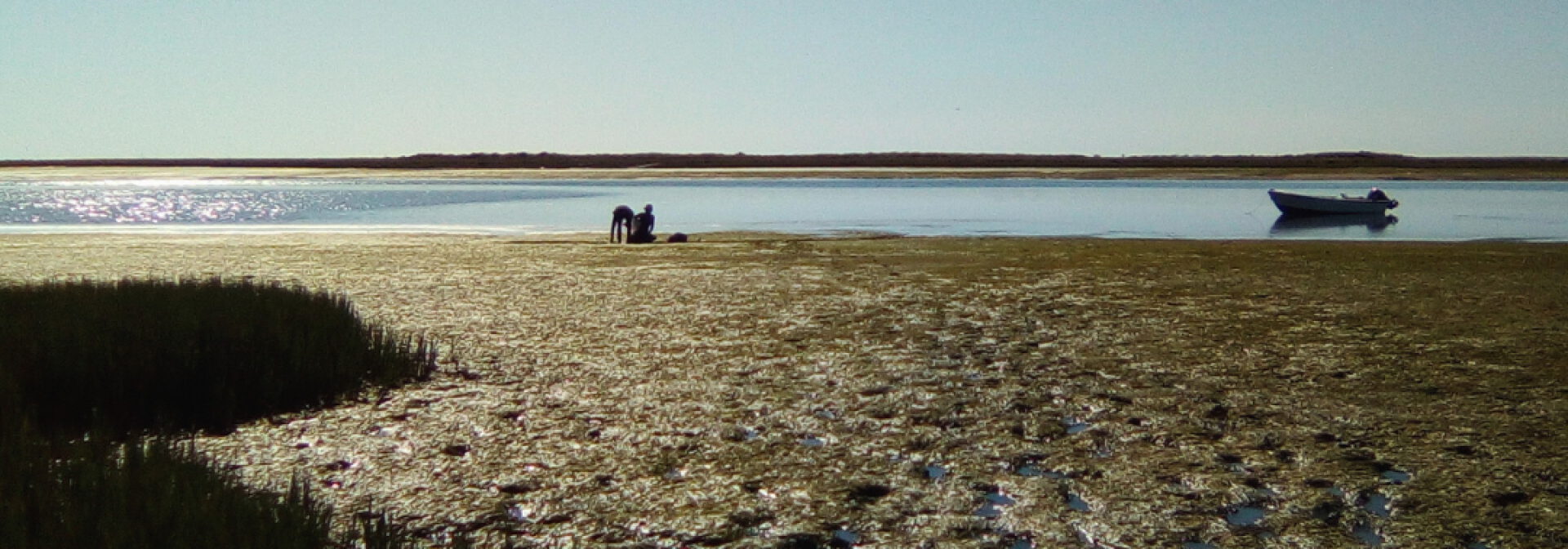 Ria Formosa