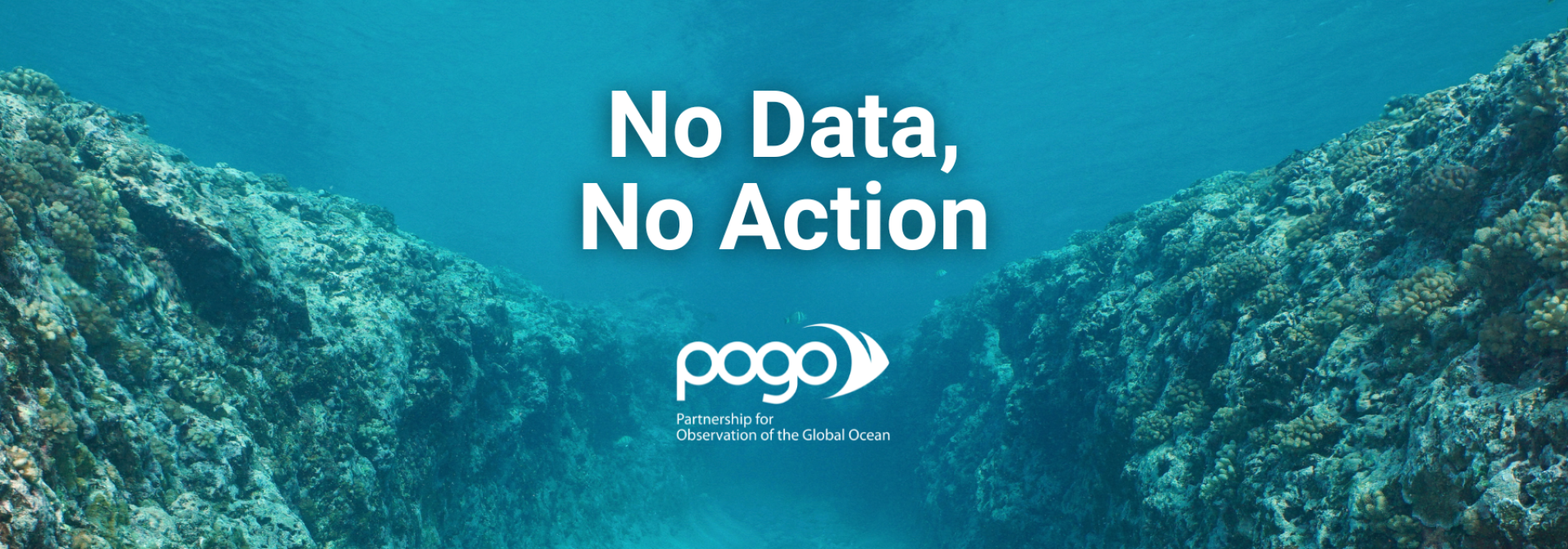 No data, no action