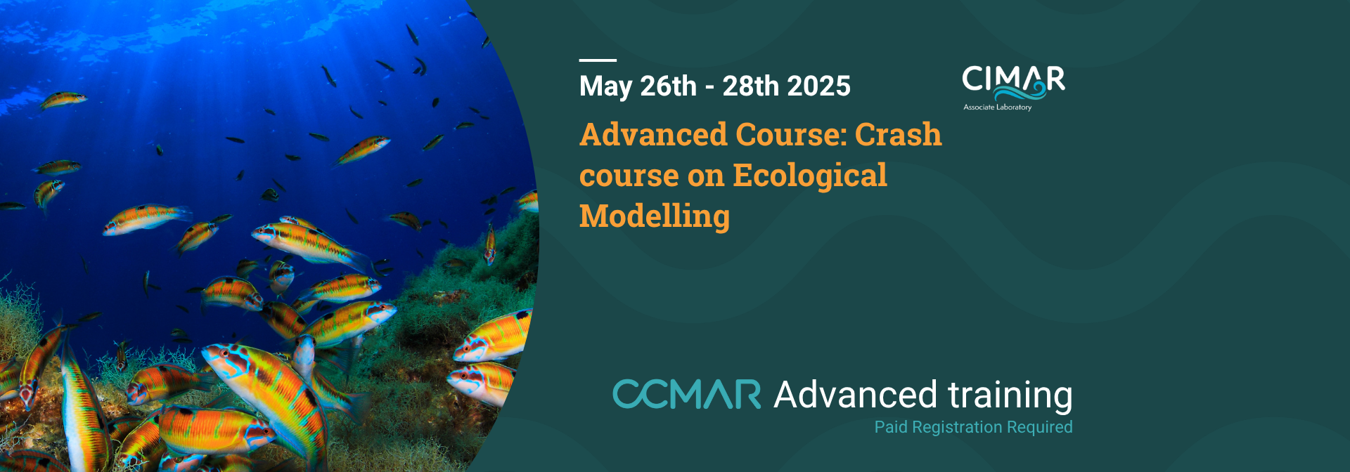 Ecological Modelling