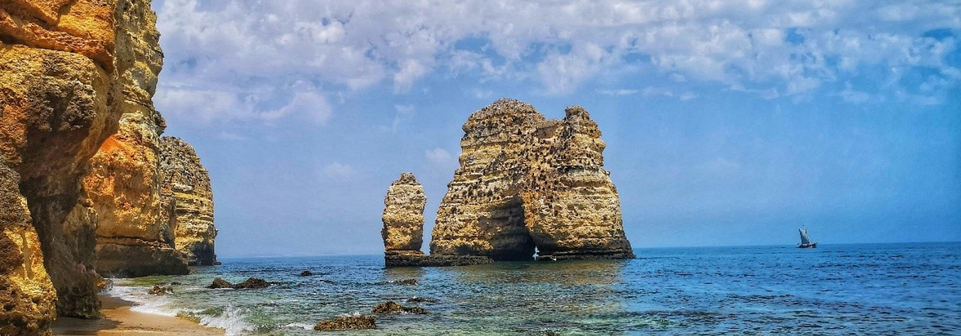 algas invasoras algarve