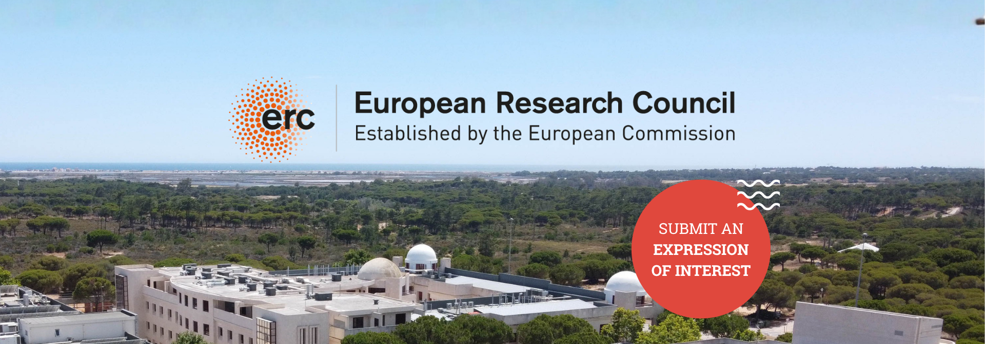 ERC Call for interests