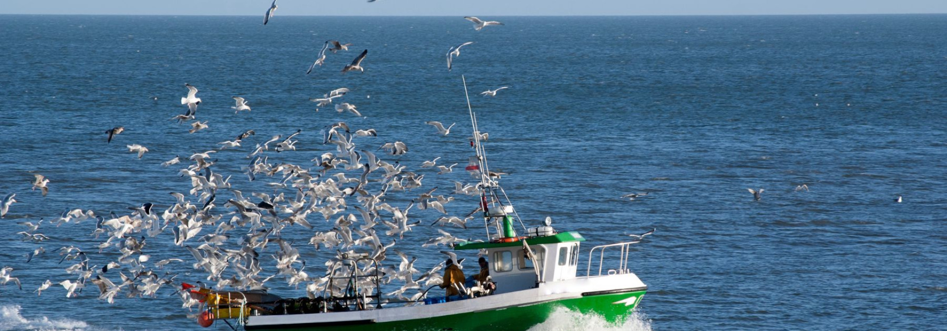 pescas