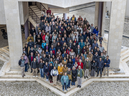 ccmar foto de grupo 2026