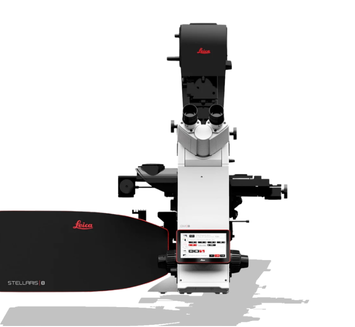 Confocal Leica Stellaris with FLIM
