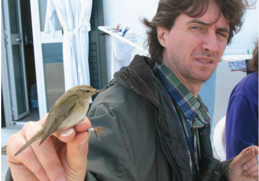 Generic representation of Seminar - Animal personality: how and why individuals matter