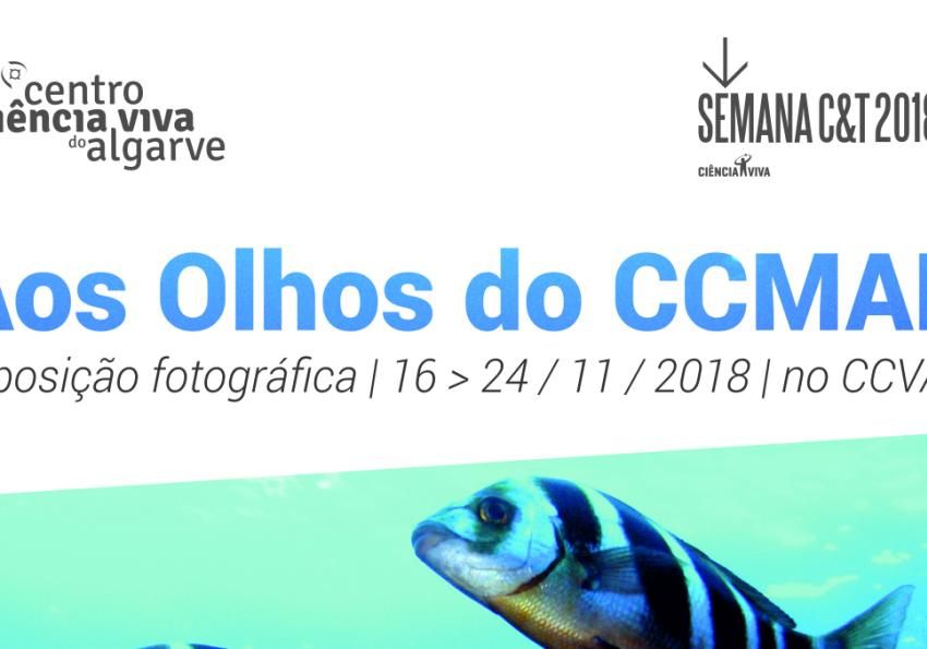 Generic representation of Centro de Ciência Viva do Algarve hosts CCMAR photo exhibit
