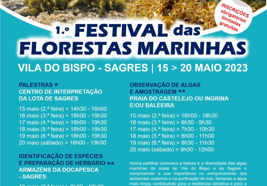 Generic representation of 1º Festival das Florestas Marinhas