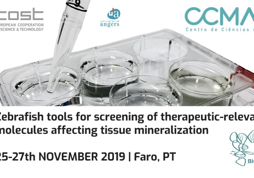 Generic representation of Zebrafish tools for screening of therapeutic-relevant molecules affecting tissue mineralization