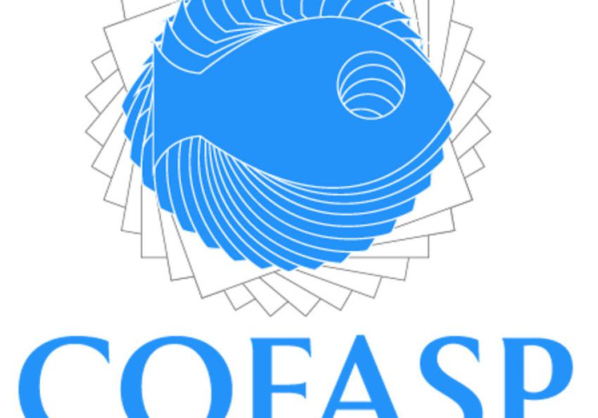 Generic representation of COFASP final Conference