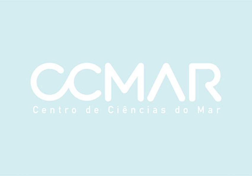 Generic representation of Size Matters – Looking for Invisible Plastics