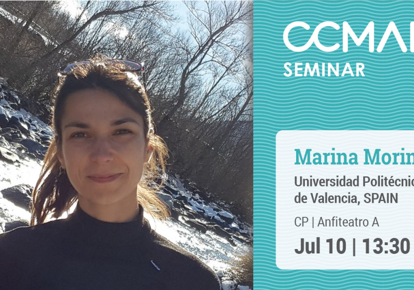 Generic representation of Progestin receptors in the European eel through spermatogenesis