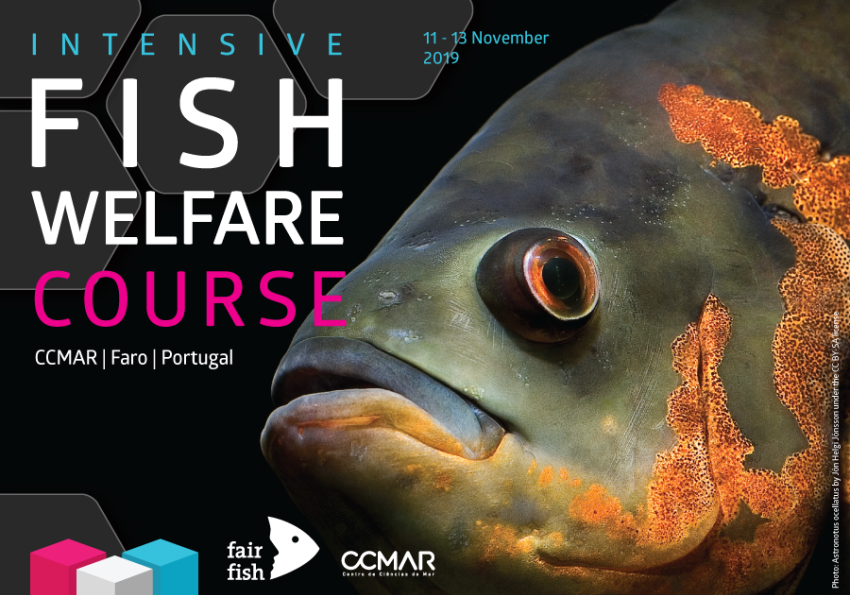 Generic representation of Fish Welfare Course
