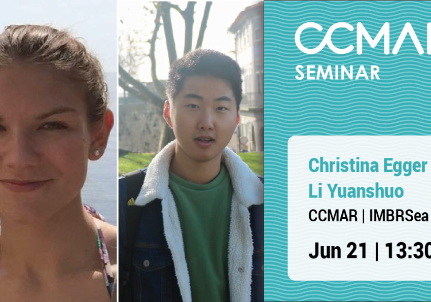 Generic representation of Seminar of Christina Egger and Li Yuanshuo
