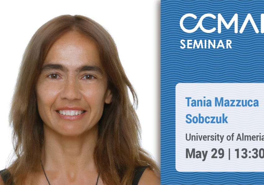 Generic representation of B-phycoerythrin production process from Porphyridium cruentum