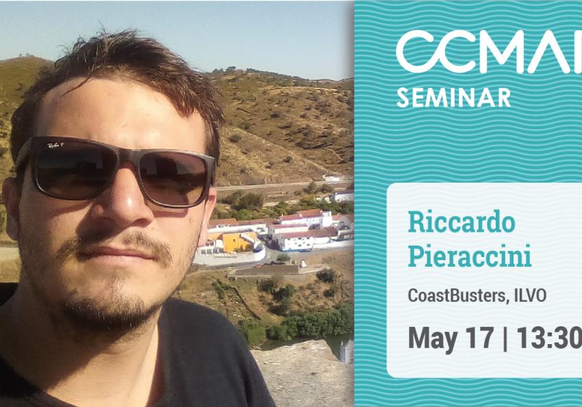 Generic representation of Nature-inspired design for coastal restoration using seagrass