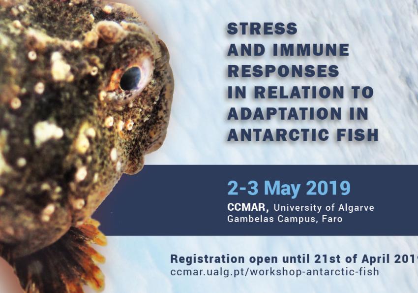 Generic representation of Workshop “Stress and immune responses in relation to adaptation in Antarctic Fish”