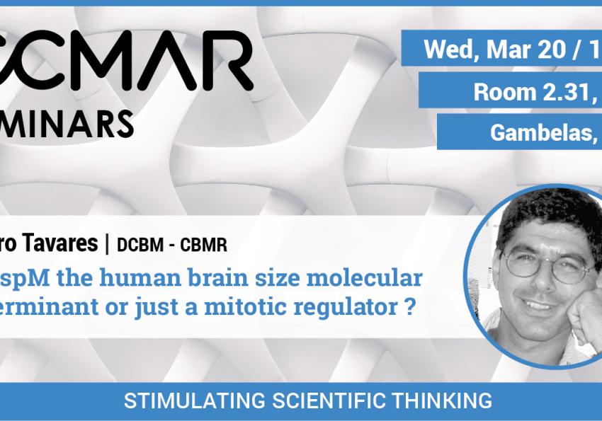 Generic representation of Is ASPM the human brain size molecular determinant or just a mitotic regulator?