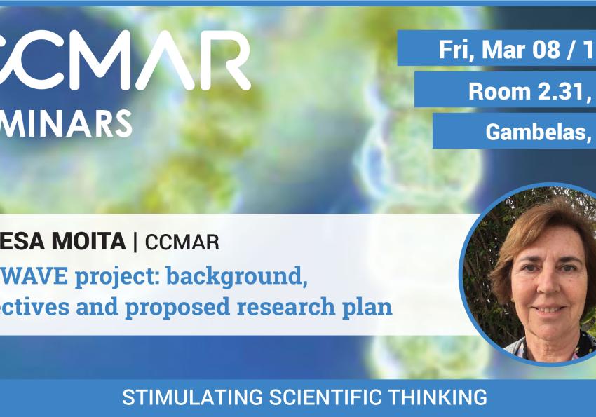 Generic representation of HabWAVE project: background, objectives and proposed research plan