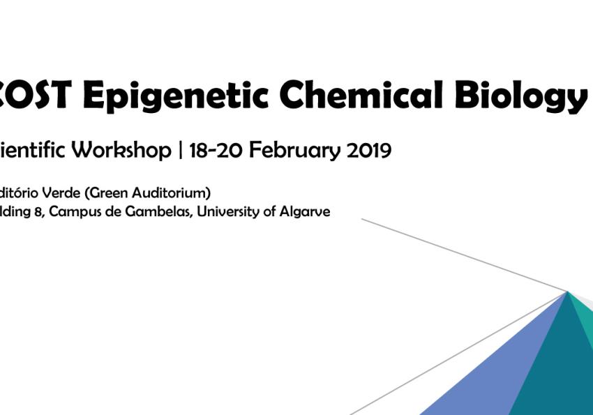 Generic representation of Epigenetic Chemical Biology COST Scientific Workshop