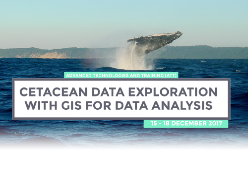 Generic representation of ATT: Cetacean Data Exploration with GIS for Data Analysis