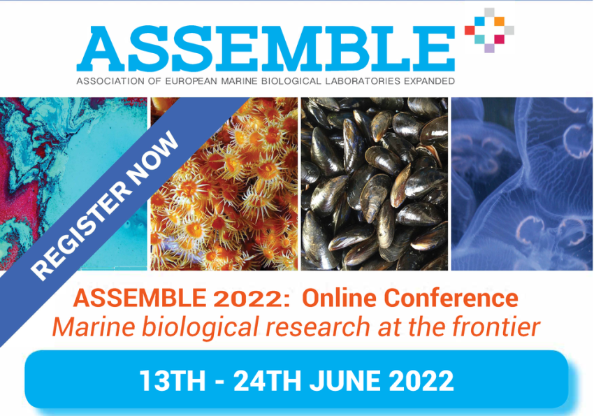 Generic representation of Assemble Plus Conference 2022