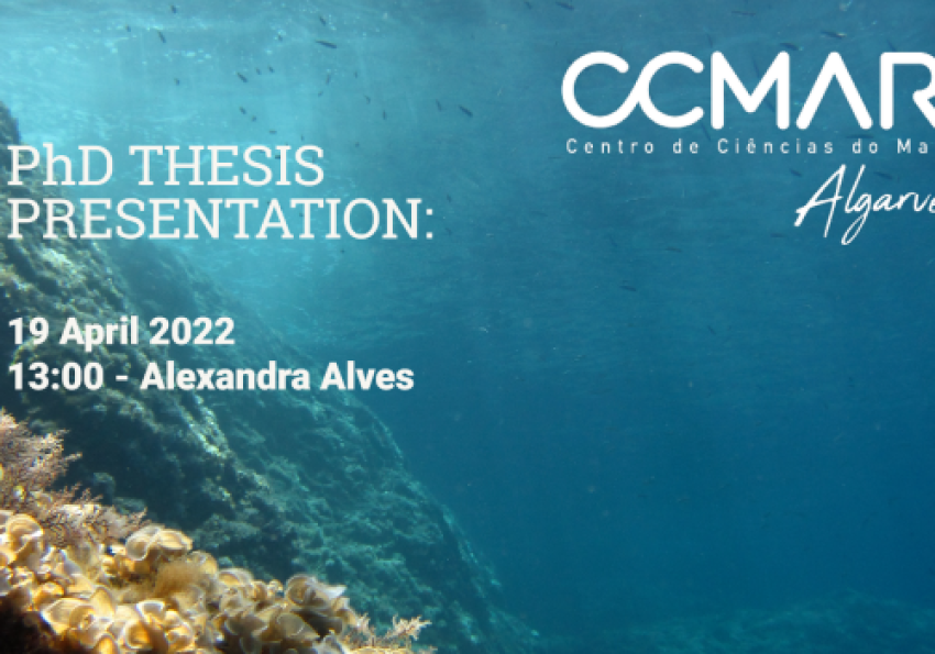 Generic representation of PhD Thesis Presentation