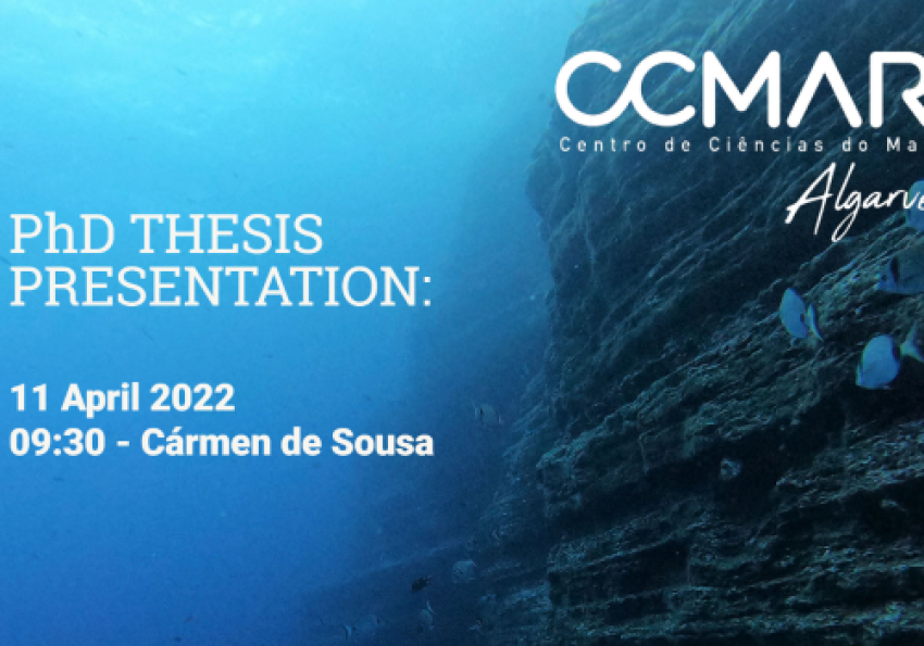 Generic representation of PhD Thesis Presentation