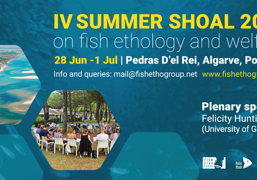 Generic representation of IV Fish Welfare Summer Shoal