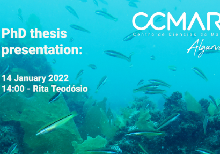 Generic representation of PhD Thesis Presentation