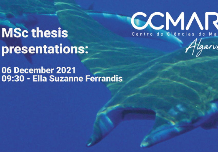 Generic representation of MSc Thesis Presentations