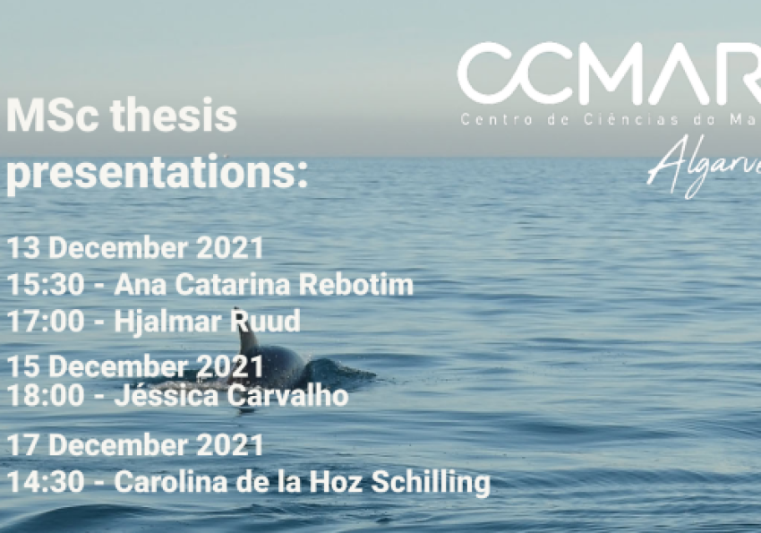 Generic representation of MSc Thesis Presentations