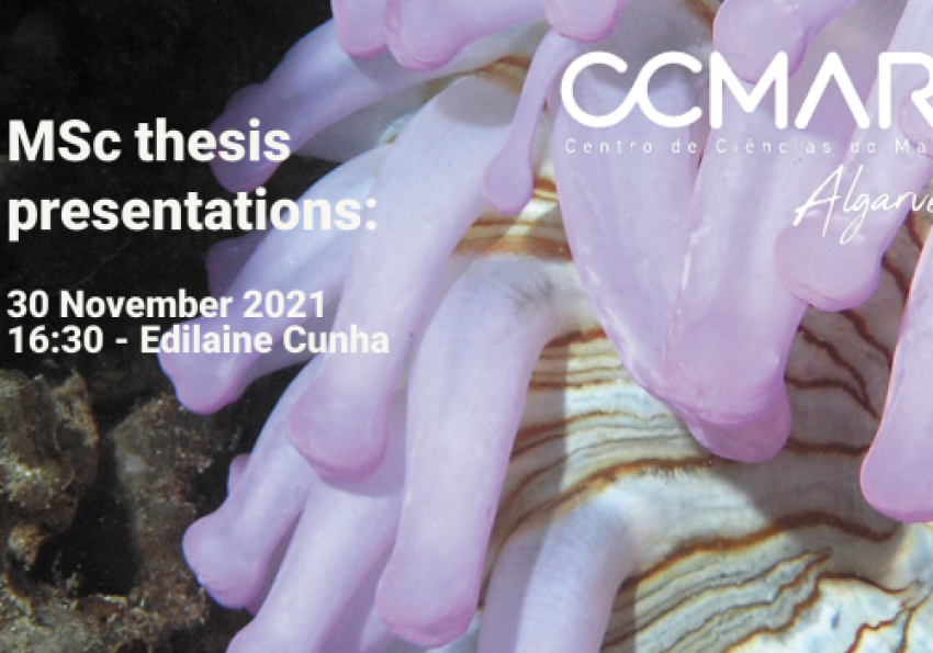 Generic representation of MSc Thesis Presentations