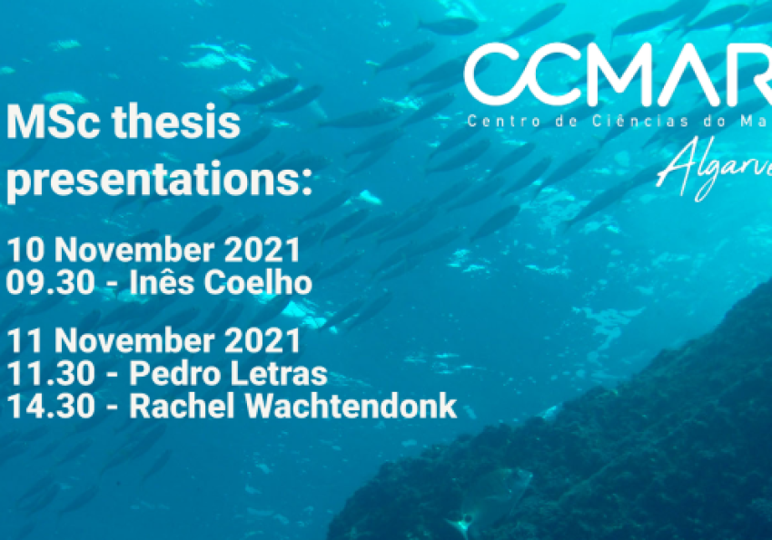 Generic representation of MSc Thesis Presentations