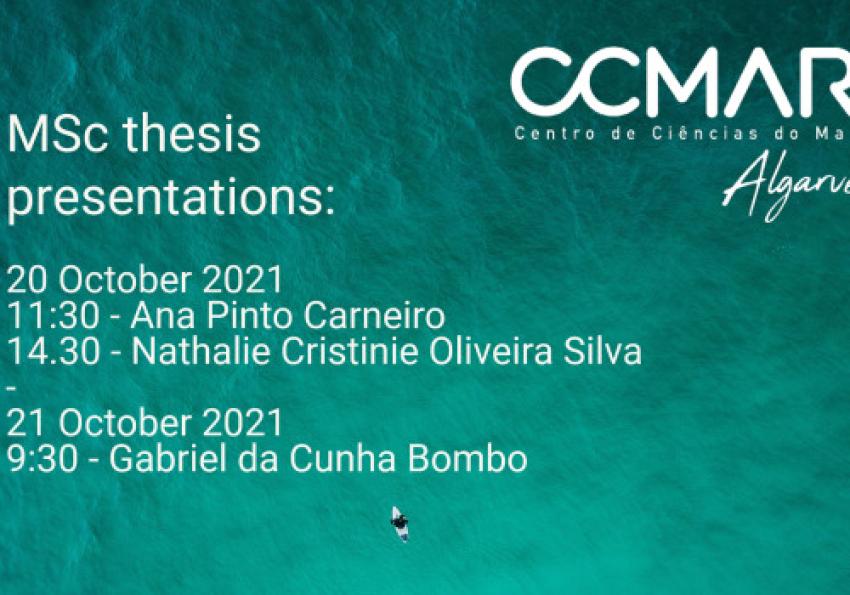 Generic representation of MSc Thesis Presentations 