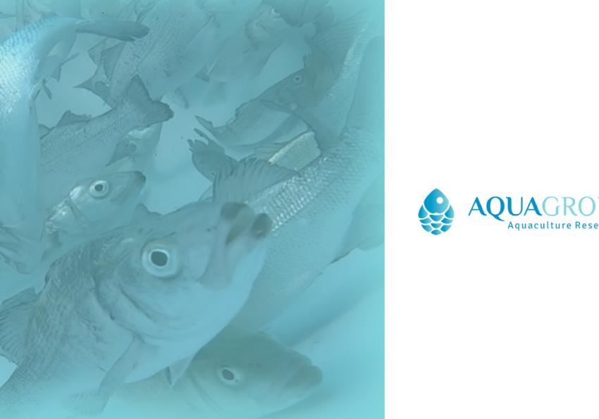 Generic representation of Workshop Projetos Allyfish e Welfish