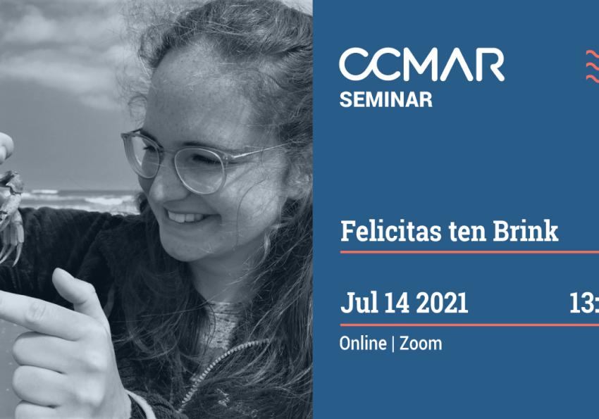 Generic representation of Microplastics ingestion in marine organisms - looking for the invisible