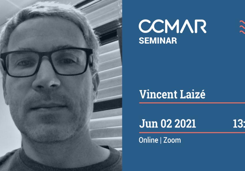 Generic representation of Fish cell lines: Current status and future challenges