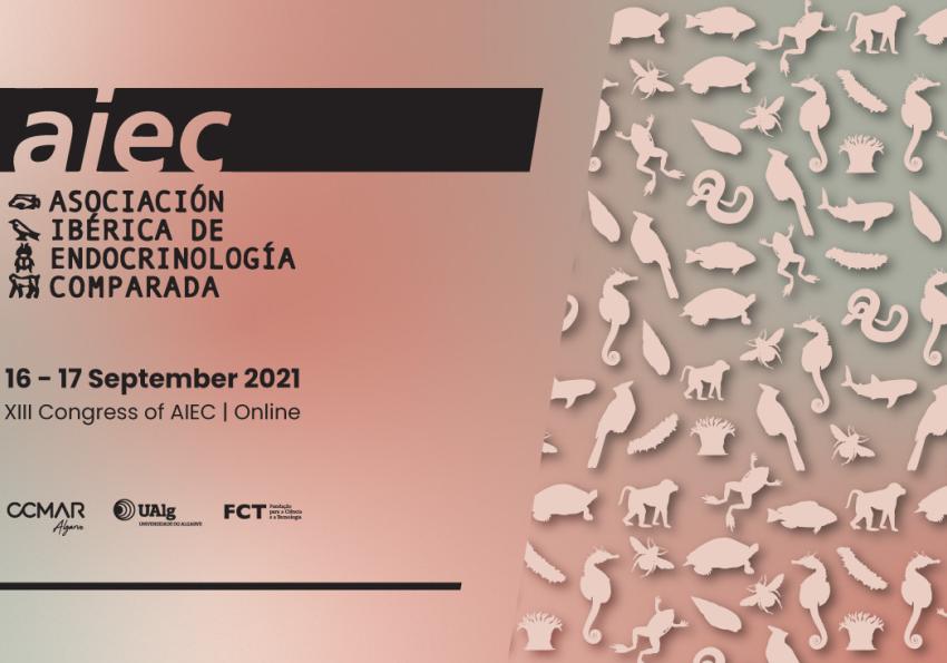 Generic representation of XIII Congress of the Iberian Association of Comparative Endocrinology - AIEC (online)