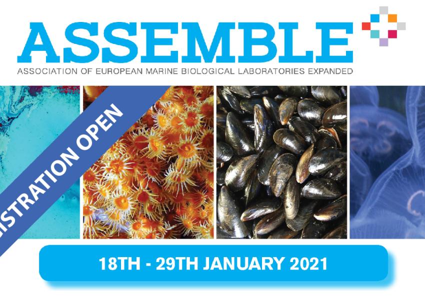 Generic representation of ASSEMBLE Plus Conference 2021