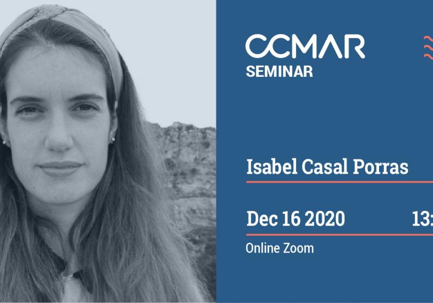 Generic representation of Impacts of coastal infrastructures on seagrass carbon stocks