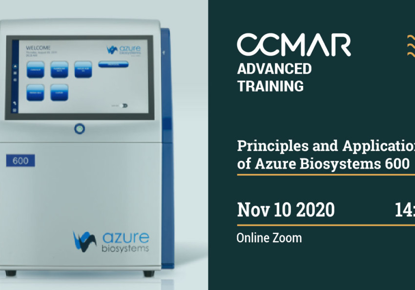 Generic representation of  Principles and Applications of Azure Biosystems 600: gel documentation system