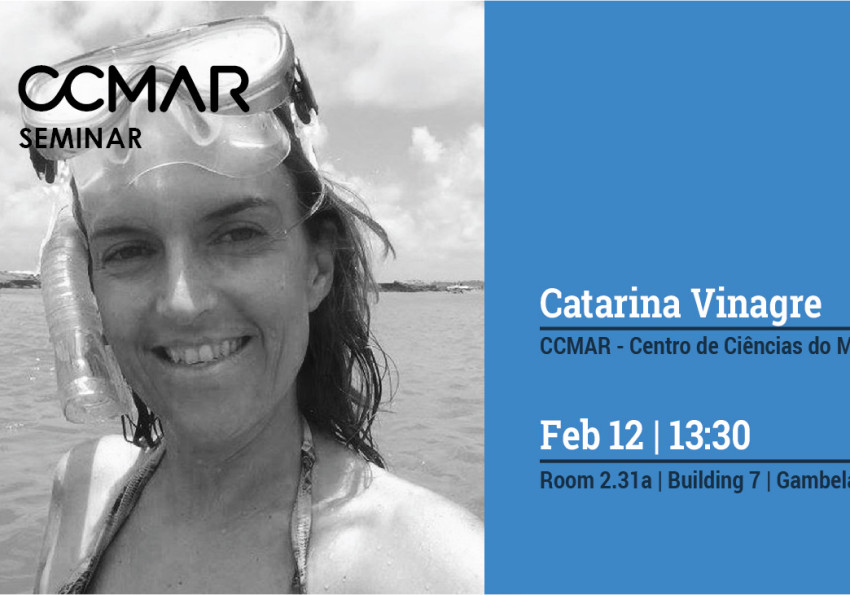 Generic representation of Environmental change on marine organisms - from the organism to the food web